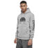 Фото #1 товара SOUTHPOLE Halfmoon hoodie