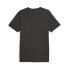 PUMA Men´S Graphic Ru short sleeve T-shirt