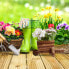 Фото #4 товара Аксессуар для комнатных растений Relaxdays Набор из 2 деревянных цветочных колесниц
