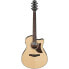 Фото #1 товара Ibanez AAM300CE-NT