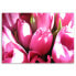 Фото #3 товара Bild auf leinwand Tulpen Blumen Rosa