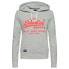 Фото #6 товара SUPERDRY Neon Vintage Logo hoodie