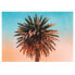 Фото #2 товара Wandbild Palm Tree