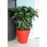 Plant pot Riviera Red polypropylene Plastic Circular Ball Ø 50 cm