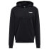 Фото #1 товара HUMMEL Austin hoodie