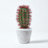 Фото #6 товара Künstlicher Kaktus Denmoza Rhodacantha