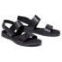 ფოტო #1 პროდუქტის TIMBERLAND Chicago Riverside 2 Band sandals