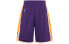 Mitchell Ness AU ASHRGS18039-LALPURP08 Purple Pants