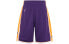 Брюки Mitchell Ness AU ASHRGS18039-LALPURP08