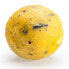 MIVARDI Pineapple+N.BA. Rapid Easy Catch Boilie 3.3kg