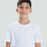 Фото #7 товара CANTERBURY Club Plain Junior short sleeve T-shirt