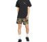 Nike SB Flex Shorts CK1103-222