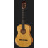 Alhambra 10 Fc Flamenco incl. Case