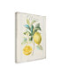 Фото #2 товара Danhui Nai Floursack Lemon IV V2 Canvas Art - 20" x 25"