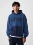 Фото #1 товара 1969 Logo Colorblock Hoodie