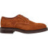 HACKETT Egmont Basic Shoes