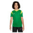 ფოტო #1 პროდუქტის NIKE Dri Fit Park Derby 3 short sleeve T-shirt