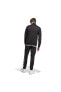 Костюм Adidas Daily Tracksuit M Lın IC6775