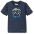 ფოტო #1 პროდუქტის COLUMBIA Mount Echo™ Graphic short sleeve T-shirt