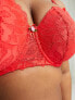 We Are We Wear Curve lace longline padded balconette bra in red