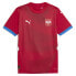 Фото #3 товара Puma Fss Crew Neck Short Sleeve Home Soccer Jersey Replica Mens Red 77430001