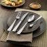 Фото #5 товара Zwilling Couverts Greenwich 07033-338-0 Cutlery Set 68 Pieces