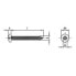 Фото #4 товара EUROMARINE A4 DIN 7981 5.5x19 mm Sheet Screw 25 Units