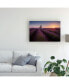 Фото #3 товара Donald Luo Provence Lavender Canvas Art - 20" x 25"