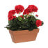 Фото #1 товара Декоративное растение Mica Decorations Керамика Красный PVC (29 x 13 x 40 cm)