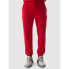 Trousers 4F 4FWSS24TTROM603 61S