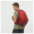 Фото #4 товара SALOMON Trailblazer 20L backpack