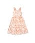 Big Girls A-line Dress with 3D Floral Embroidery