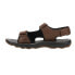 Sperry Rivington River Mens Brown Casual Sandals STS25115