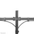 Neomounts by Newstar monitor arm desk mount - Freestanding - 8 kg - 25.4 cm (10") - 81.3 cm (32") - 100 x 100 mm - Black