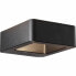 Ceiling Light Brilliant Golda Black