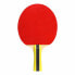 Фото #1 товара Cornilleau Sport 434000 table tennis bats