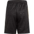 Фото #2 товара ADIDAS Salah Shorts