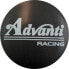 Фото #1 товара Колпак колесный Advanti Racing для дисков ADV.16