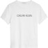 Фото #1 товара CALVIN KLEIN JEANS Institutional short sleeve T-shirt