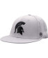 Фото #1 товара Men's Gray Michigan State Spartans Fitted Hat