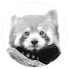Фото #1 товара Roter Panda in Schwarz-weiß