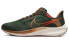 Фото #1 товара Кроссовки Nike Air Zoom Pegasus 39 "a.i.r. hola lou" DO9500-300