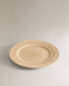 Spinwash earthenware dinner plate