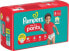 Baby Pants Baby Dry Gr.8 Extra Large (19+ kg), 15 St