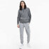 PUMA Amplified hoodie