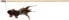 Фото #1 товара Trixie Wędka Mysz z piórami 50 cm ciemny brąz
