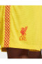 Фото #33 товара Liverpool Fc 2021/22 Maç Üçüncü Nike Dri-fit Adv Erkek Futbol Şortu Dd2774-703