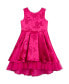 Toddler Girls Sleeveless Brocade Party Dress