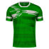 Фото #2 товара Футболка спортивная Zina La Liga M 72C3-99545 зелено-белая