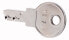 Eaton M22-ES-MS2 - Locking key - Grey